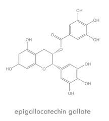 Epigallocatechin gallate structure. Molecule of catechin (polyphenol) found in tea.