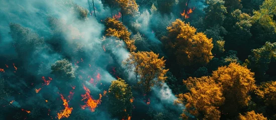 Selbstklebende Fototapete Feuer Aerial top view forest tree of ecological disaster of fires Lungs from forest trees and fire concept Ecology and environment creative idea Breath of planet earth. Copy space image
