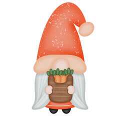Cute gnome and carrot