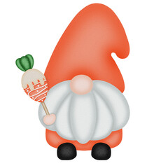 Cute gnome and carrot