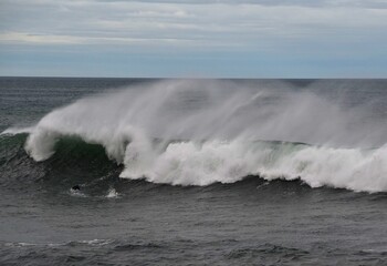 Fototapeta premium Mar