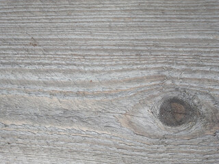 Grey driftwood plank closeup with eyes