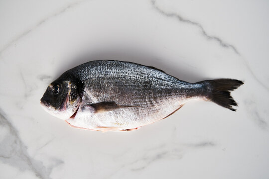 Raw and fresh dorado fish on white marble background. Minimalistic food photo. Mediterranean diet. Top view copyspace
