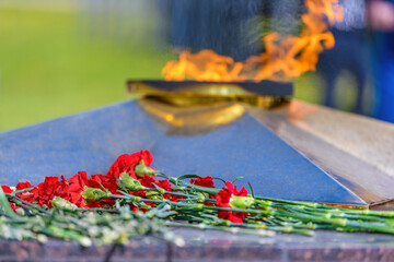 Red carnations in selective focus against a background of burning eternal flame in blur. Victory Day holiday.Symbol of may 9. Memory of war. Сopy space. Design template...