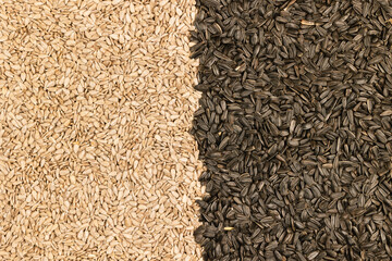 Sunflower seeds as a background