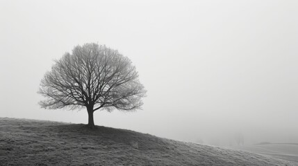 Convey Earth Day's message with a solitary tree on a hill