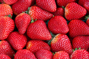 Close up on  freshly picked ripe red strawberries for sale at farmers market. View from above.