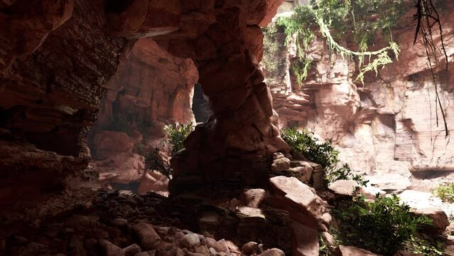 A cave filled with lots of rocks and plants