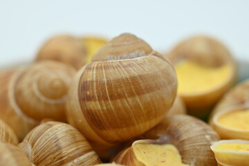 Delicatessen food - Bourgogne Escargot Snails with garlic butter in a pan., white background. Top view