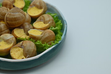 macro snails with white sauce photo above, snails with basil pesto, Grana Padano and pine nuts	
