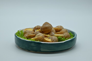 macro snails with white sauce photo above, snails with basil pesto, Grana Padano and pine nuts	