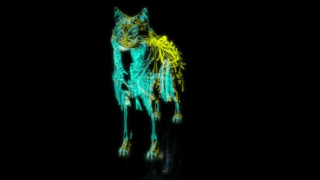 Rendering 3D animation, VISUAL EFFECTS Wolf model on a black background