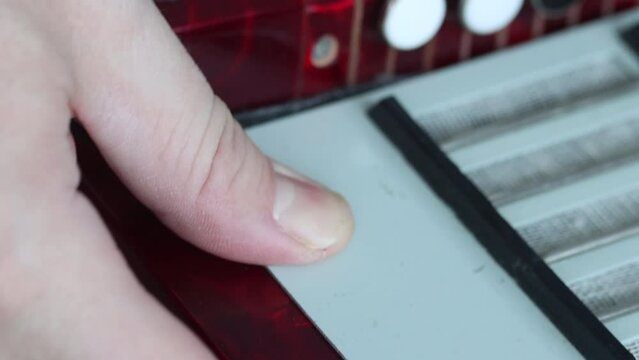 The man sets the right cover of the button accordion. It fastens it with screws with a screwdriver. Bayan repair and maintenance. Close-up.