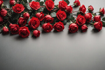 Fototapeta na wymiar red roses background 