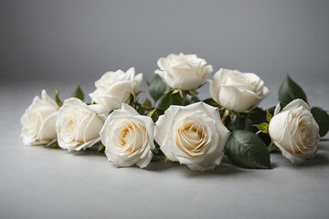 white roses background	