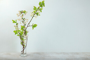 Home interior with beautiful spring cherry branches in a vase, banner, abstract flower arrangement,...