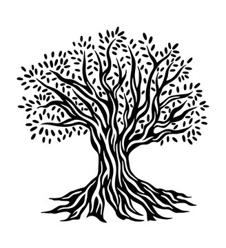 recommend clip art: Tree with roots, Olive Tree, Family Tree, Tree of Life,	
                    tree silhouette vector
