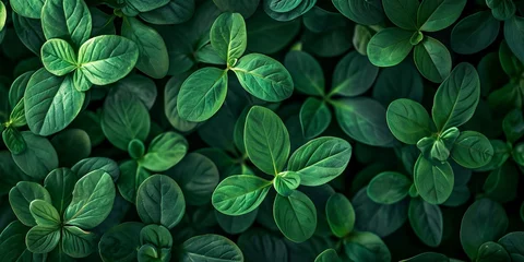 Zelfklevend Fotobehang Green plant leaves background, top view. Nature spring concept © BackgroundHolic