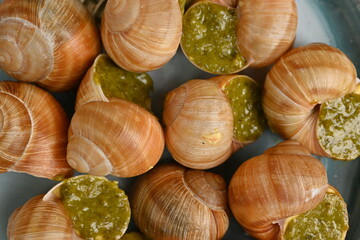 macro snails with pesto sauce photo above, snails with basil pesto, Grana Padano and pine nuts