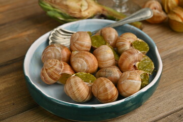 macro snails with pesto sauce photo above, snails with basil pesto, Grana Padano and pine nuts