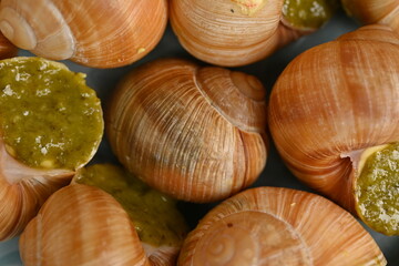 cooked snails with pesto close-up, macro snails with pesto sauce, french cuisine