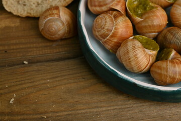 macro snails with pesto sauce photo above, snails with basil pesto, Grana Padano and pine nuts