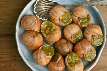 macro snails with pesto sauce photo above, snails with basil pesto, Grana Padano and pine nuts