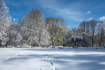 Winter Landscape of South Park in city of Sofia, Bulgaria