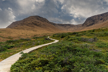 Tablelands in Gros Morne National Park, Canadian national park and World Heritage Site in Newfoundland. Area of exposed earth's mantle and peridotite rocks and iron rust. Boardwalk trail,  - obrazy, fototapety, plakaty