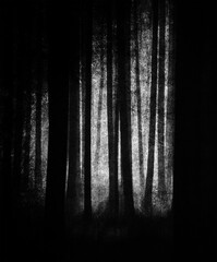 Night in the scary forest, grunge landscape - obrazy, fototapety, plakaty