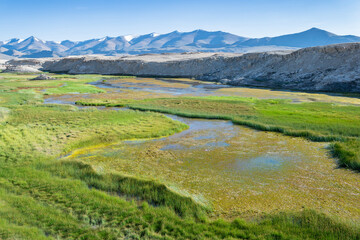 Tso Momriri, a high-altitude lake in the Himalayas, Ladakh, mountain lake, India