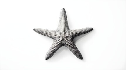 Fototapeta na wymiar Black and White Starfish on a White Background