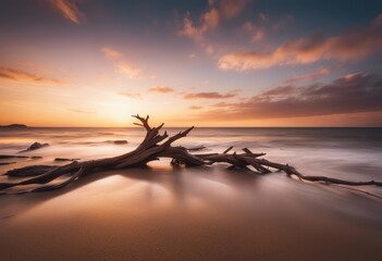 AI generated illustration of a driftwood at sunset - obrazy, fototapety, plakaty