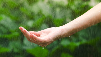 Close up of female hand in the rain with water drops on green blurred background. - obrazy, fototapety, plakaty