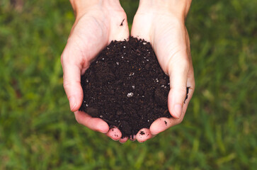 Female hands holding soil on green grass background, top view. Earth day concept.