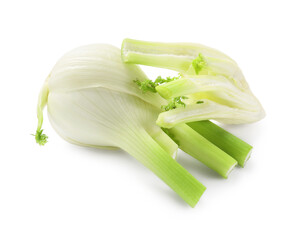 Whole and cut fennel bulbs isolated on white