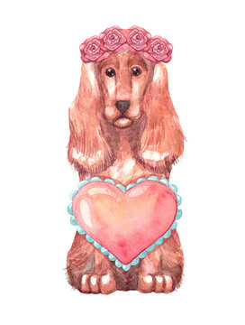 Spaniel cute dog with wreath of roses and heart. Valentines day, love and romance concept. Hand drawn watercolor illustration of pet isolated on transparent background for design, postcards.