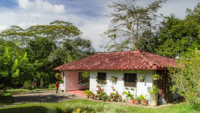 Timelapse de casa en medio de un bosque