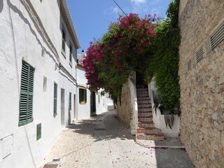 Fototapeta premium Middle Sea and city´s