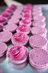 Obraz na płótnie Canvas Batch of tasty purple cookies on sheet pan on kitchen countertop