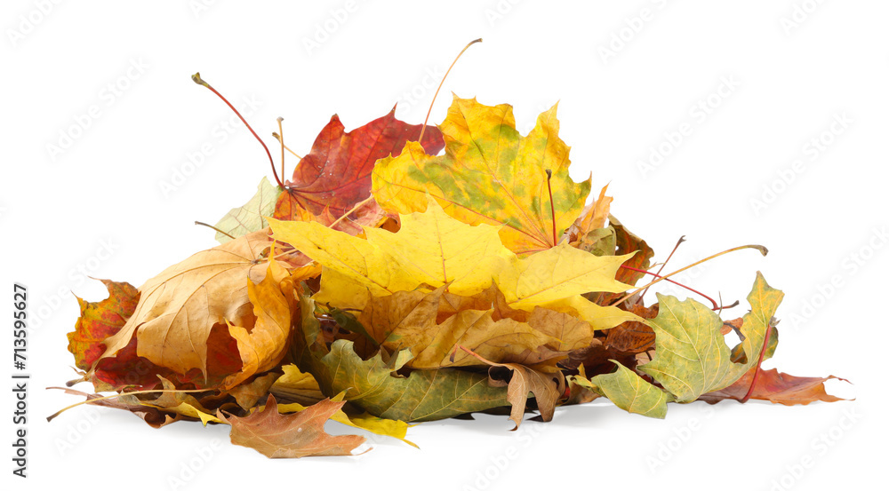 Poster Pile of dry autumn leaves isolated on white