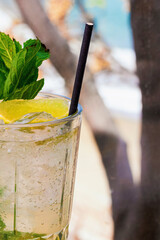 Mojito cocktail in a glass with yellow lemon and green mint leaves close-up