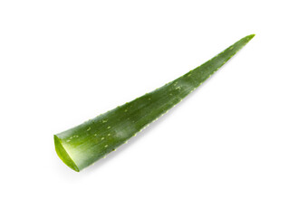 Green aloe vera leaf isolated on white