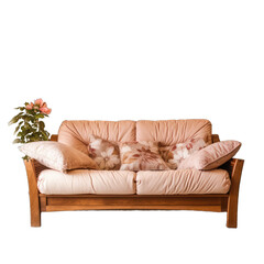 A Comfortable Couch in a Cozy Living Room Inviting Relaxation.. Isolated on a Transparent Background. Cutout PNG.