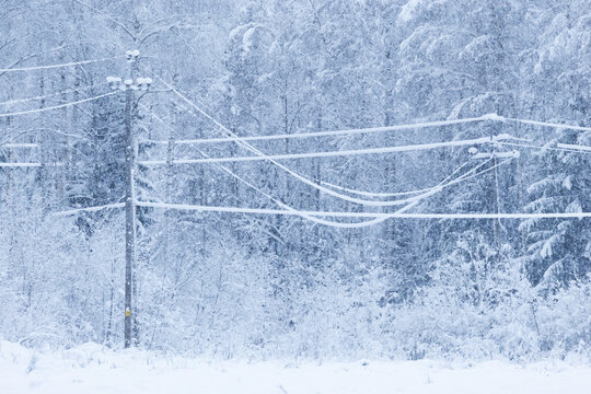 Snow covered electric power lines on a winter day in rural Estonia, Northern Europe