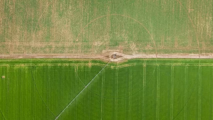 Schilderijen op glas AERIAL. Circular green irrigation patches for agriculture © pifate