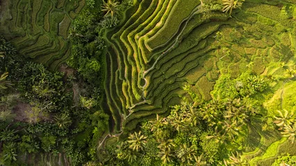 Rugzak Drone top down view of rice fields in Bali, Indonesia © Marina