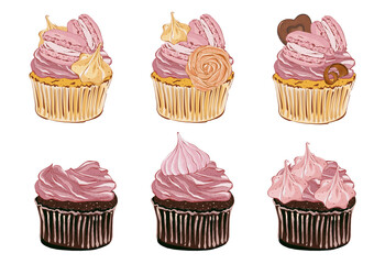Set of cupcake with berries cream, meringue and chocolate. Realistic style. Hand drawn illustration isolated on white background. Graphic element for pastry shops, menu