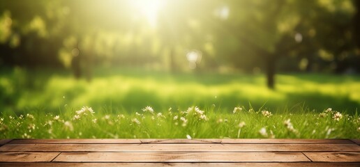 grass and wood background