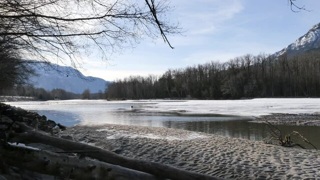 Riverbank of the Squamish River during a winter season near the Brackendale Eagle Run in Squamish, British Columbia, Canada